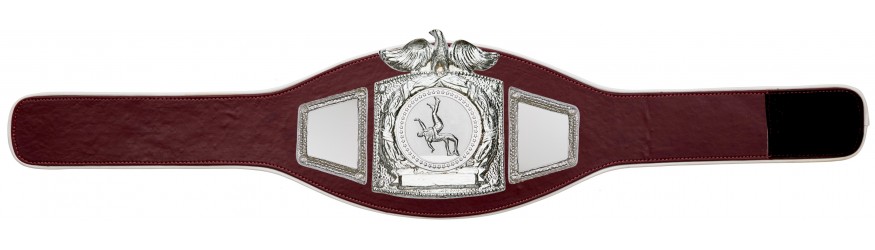 PROEAGLE WRESTLING CHAMPIONSHIP BELT - PROEAGLE/S/WRESTS - AVAILABLE IN 6+ COLOURS